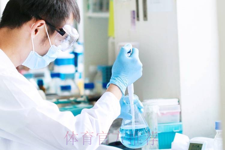 深入解析世界杯买球平台稳定性与安全性分析